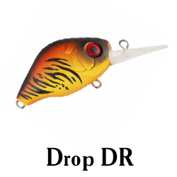 Drop DR