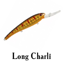 Long Charli