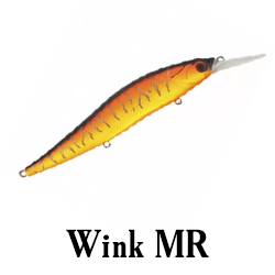 Wink MR