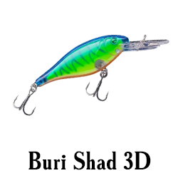 Buri Shad 3D